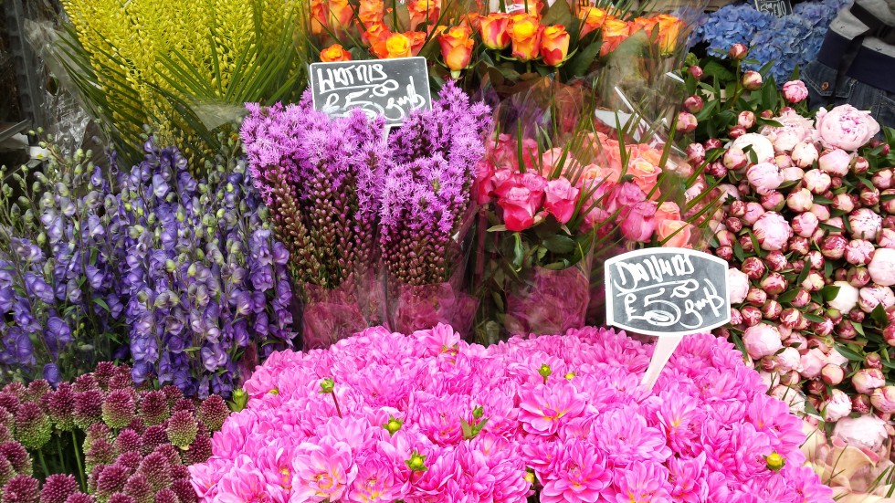 lost in a flower market  (5)