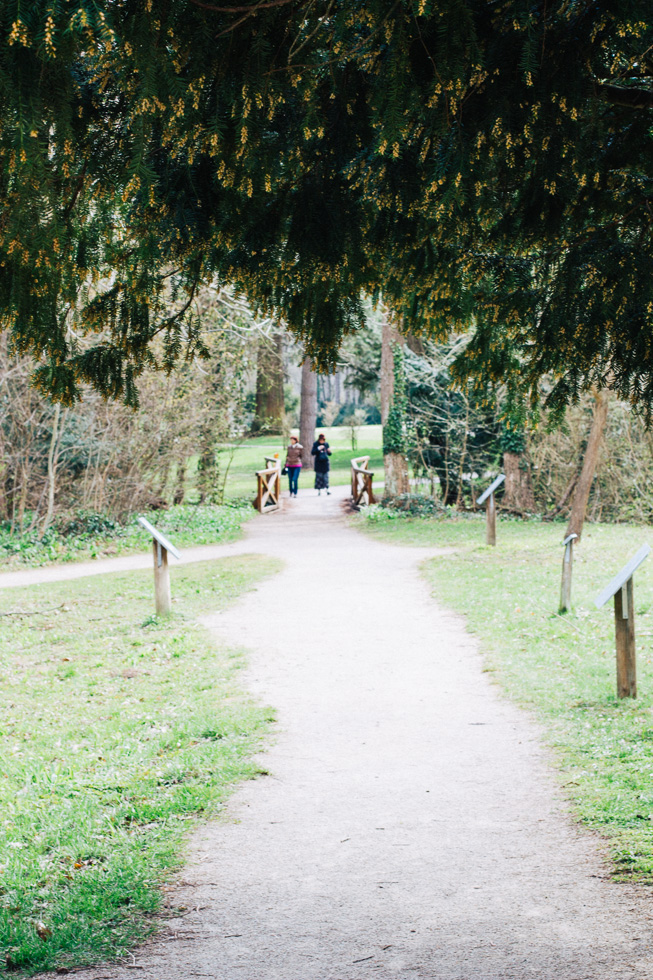 Hermesvilla ist ein Schloss in Lainzer Tiergarten (26)