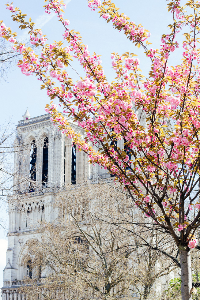 paris in april (3)