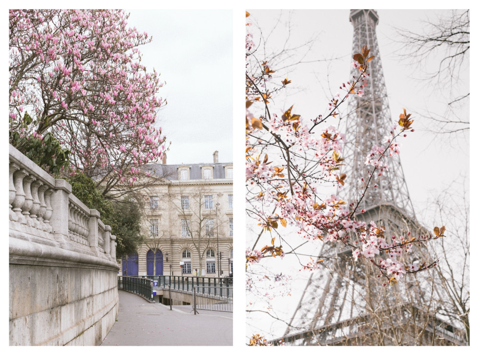 Paris in March 