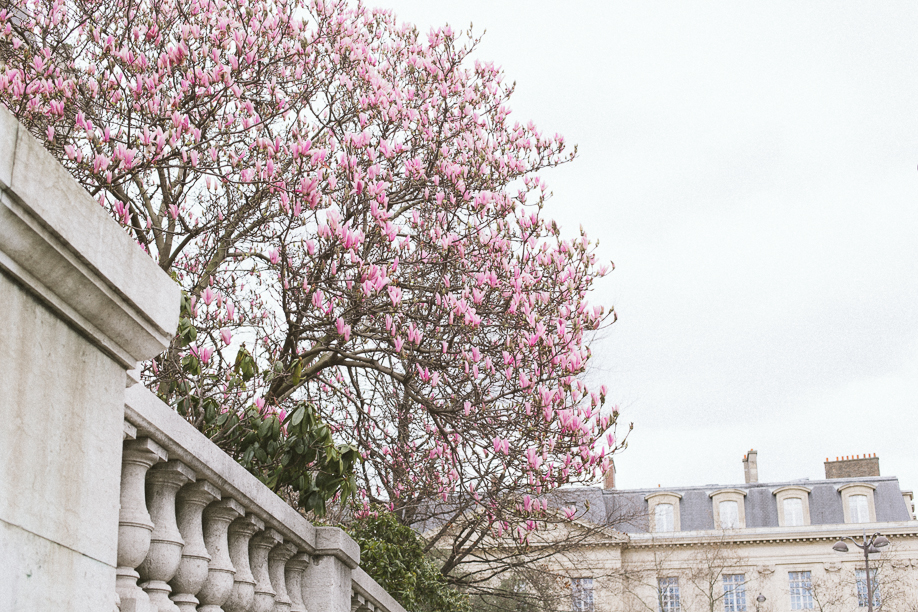 paris in March 