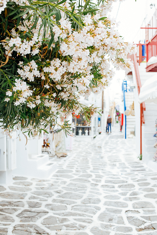mykonos, the picture perfect island (30)
