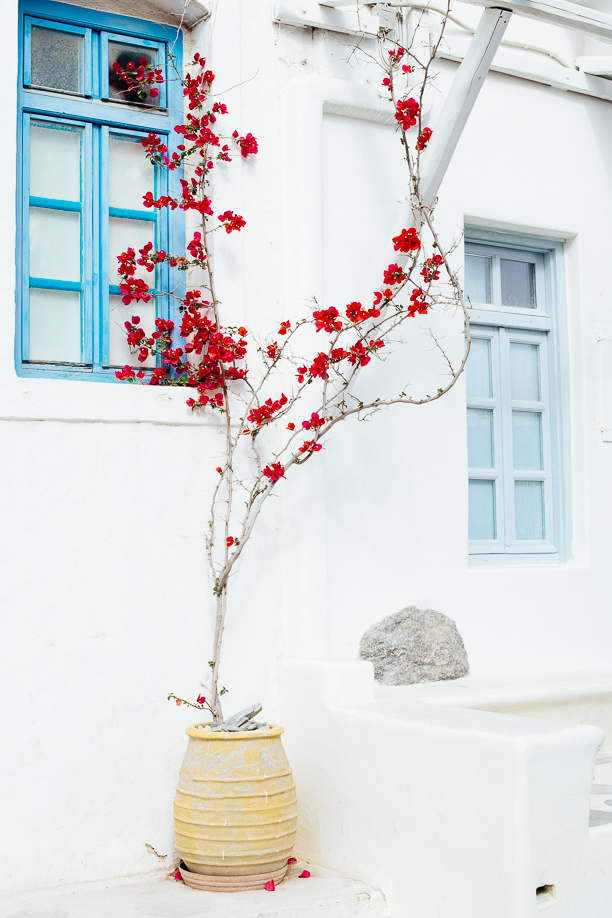 mykonos, the picture perfect island (32)