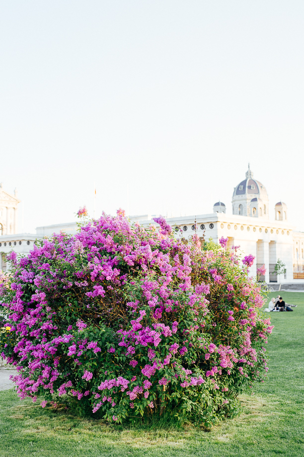 vienna in april (2)