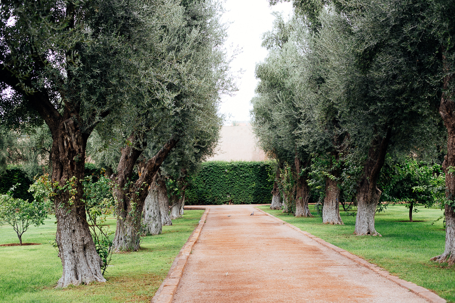 la-mamounia-marrakesh-17