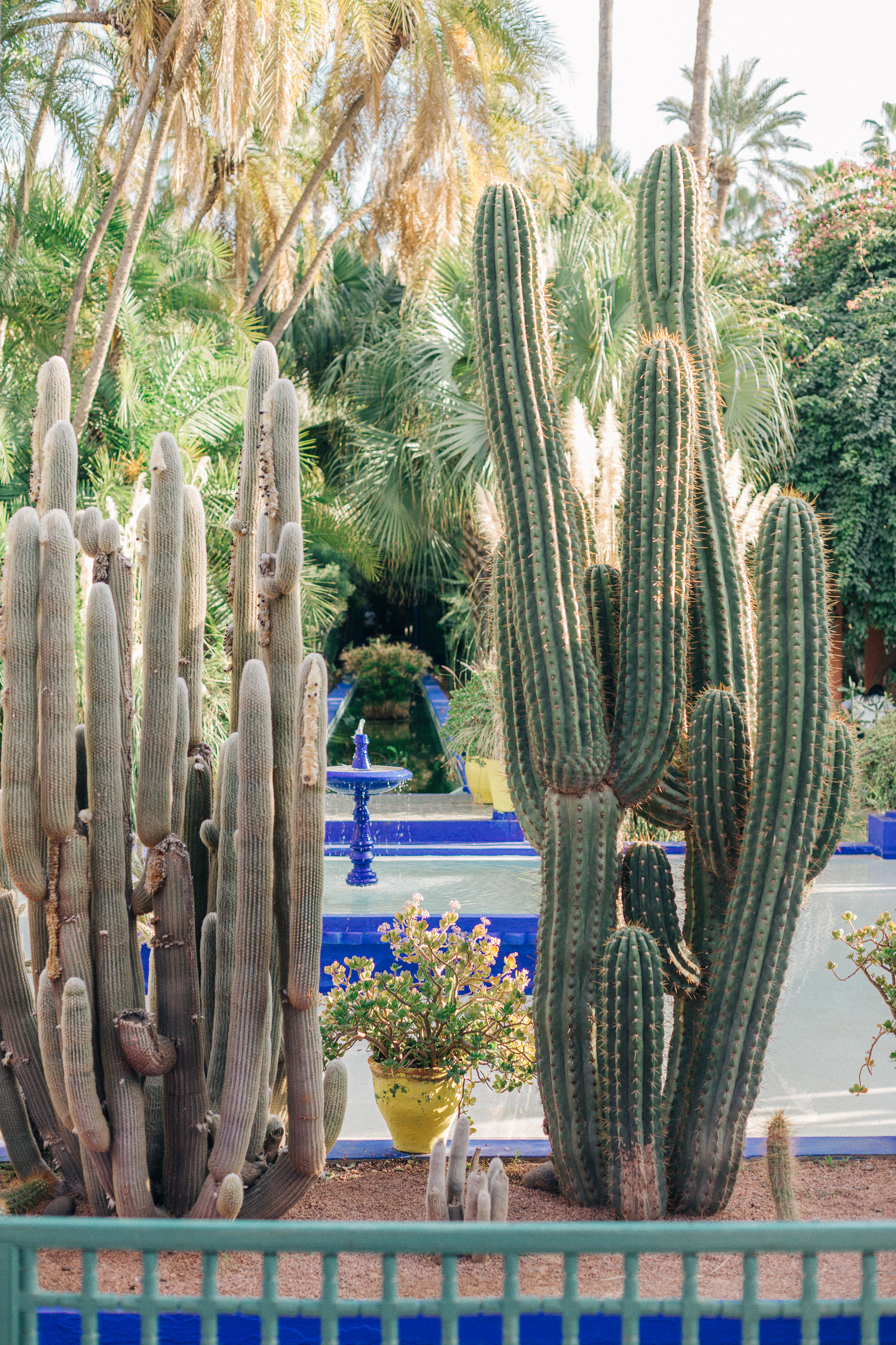 Jardin Majorelle Rue Yves Saint Laurent