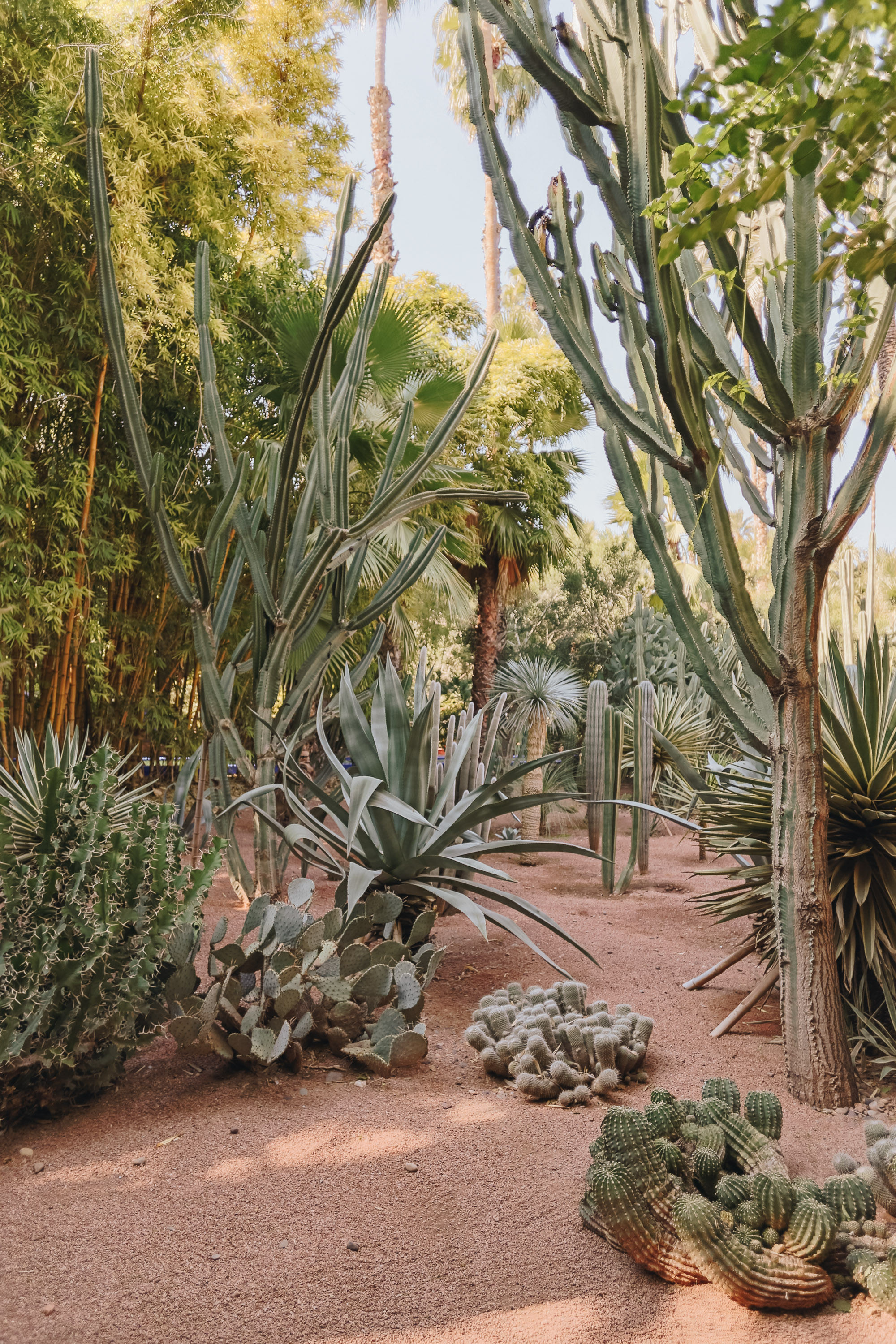 Jardin Majorelle Rue Yves Saint Laurent