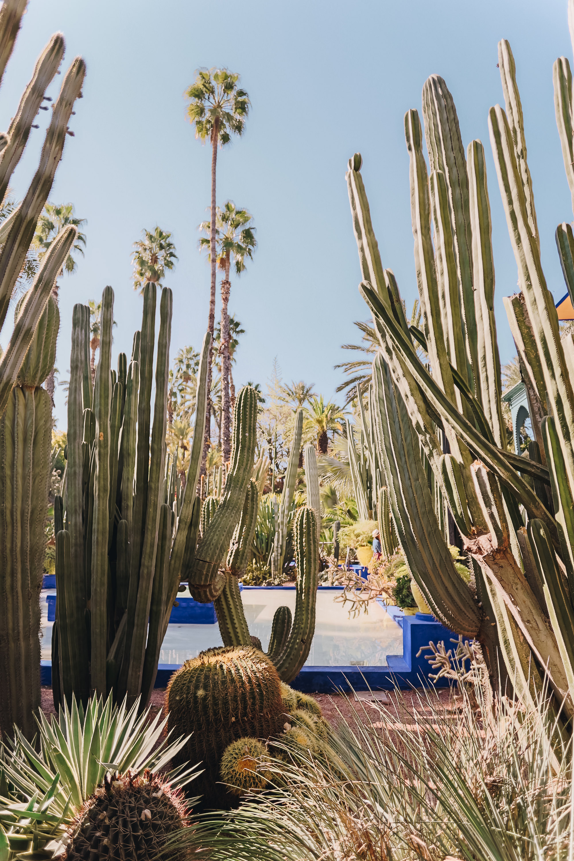 Jardin Majorelle Rue Yves Saint Laurent