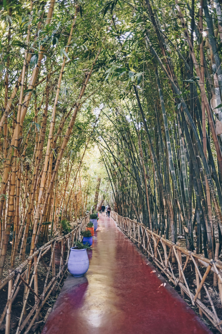 Jardin Majorelle in Rue Yves Saint Laurent - Marrakesh blog