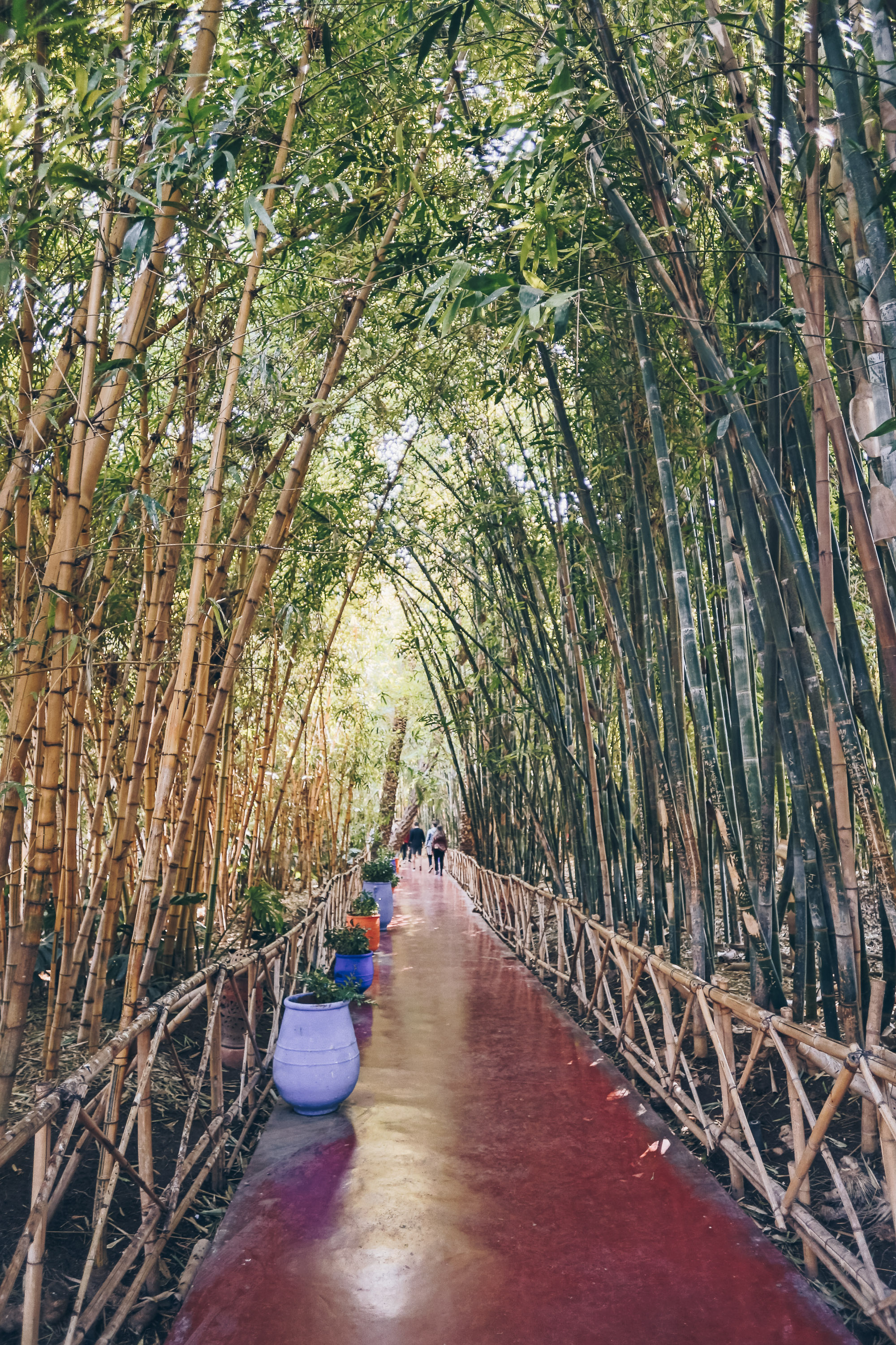 Jardin Majorelle Rue Yves Saint Laurent