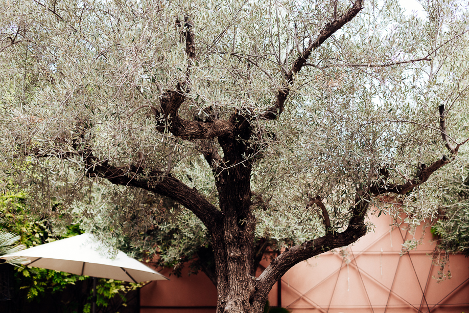 Royal Mansour Marrakesh