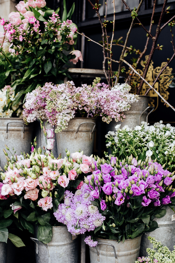 London dreamy flower shop