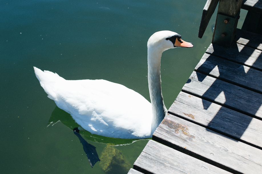 Visit Hallstatt with Vienna Sightseeing