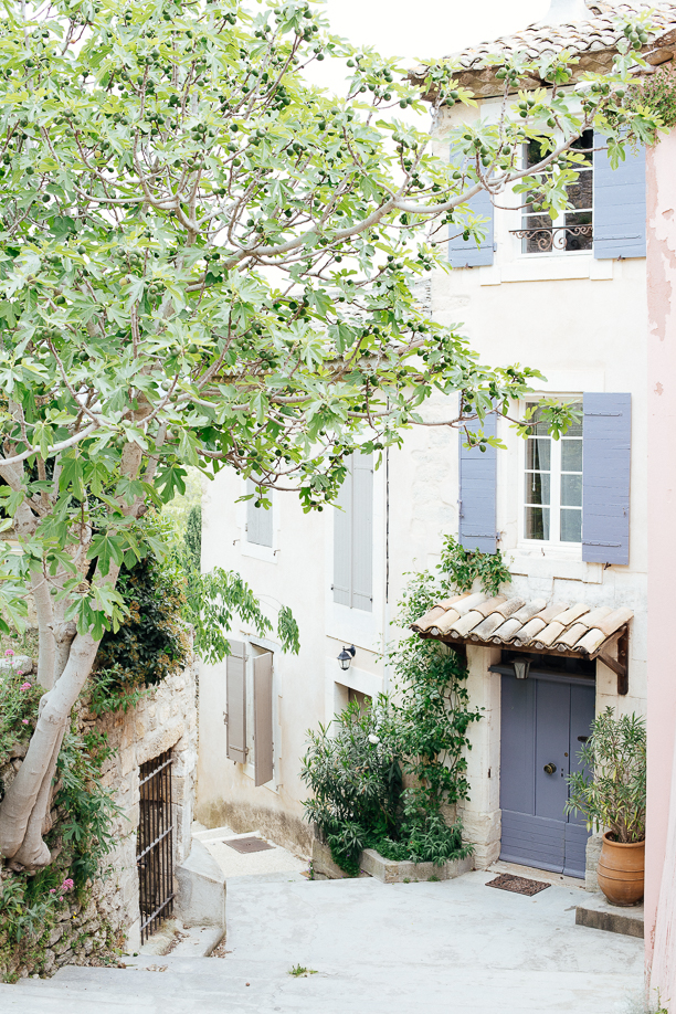 Avignon and the French countryside 