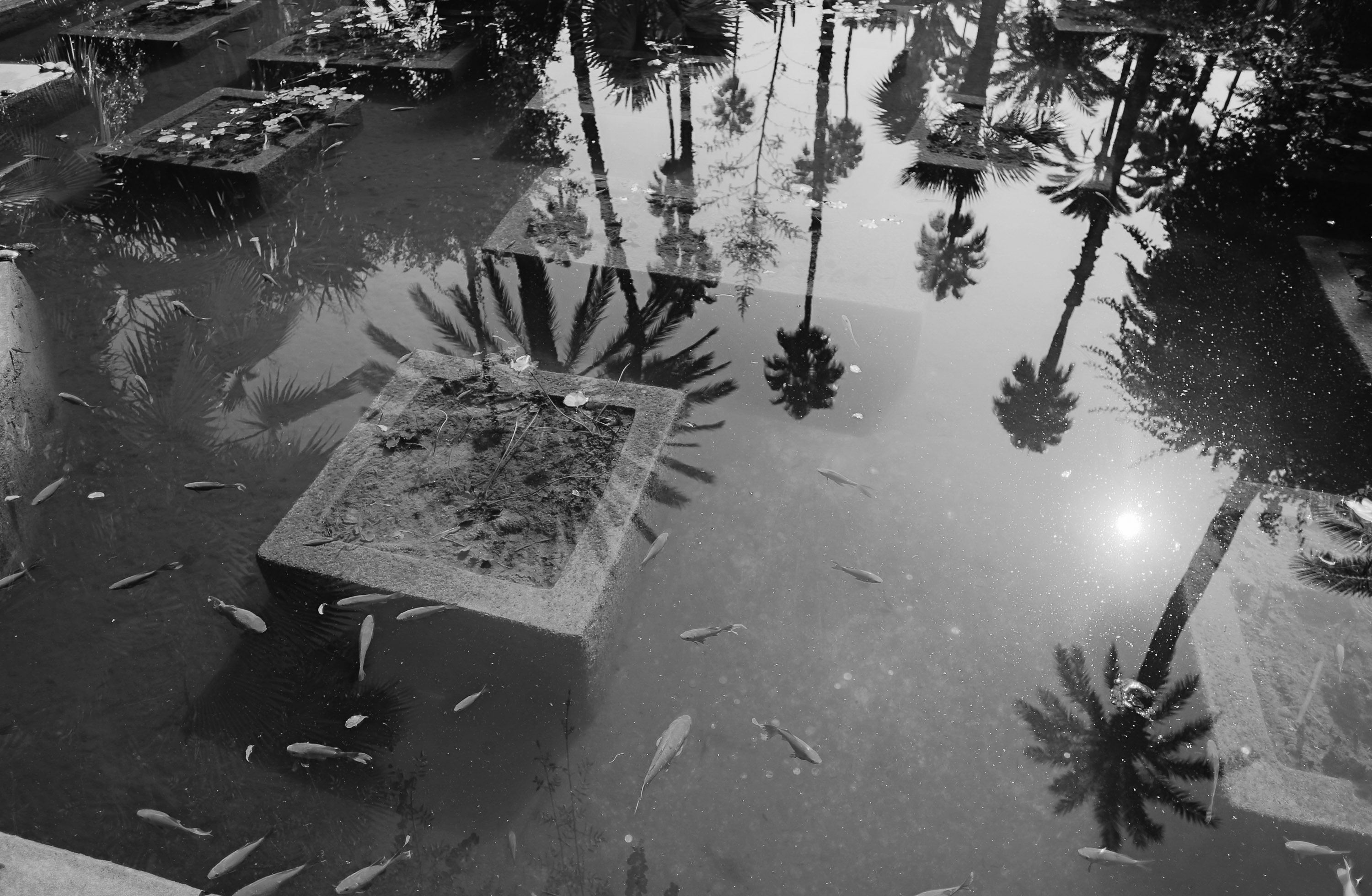 Jardin Majorelle Rue Yves Saint Laurent