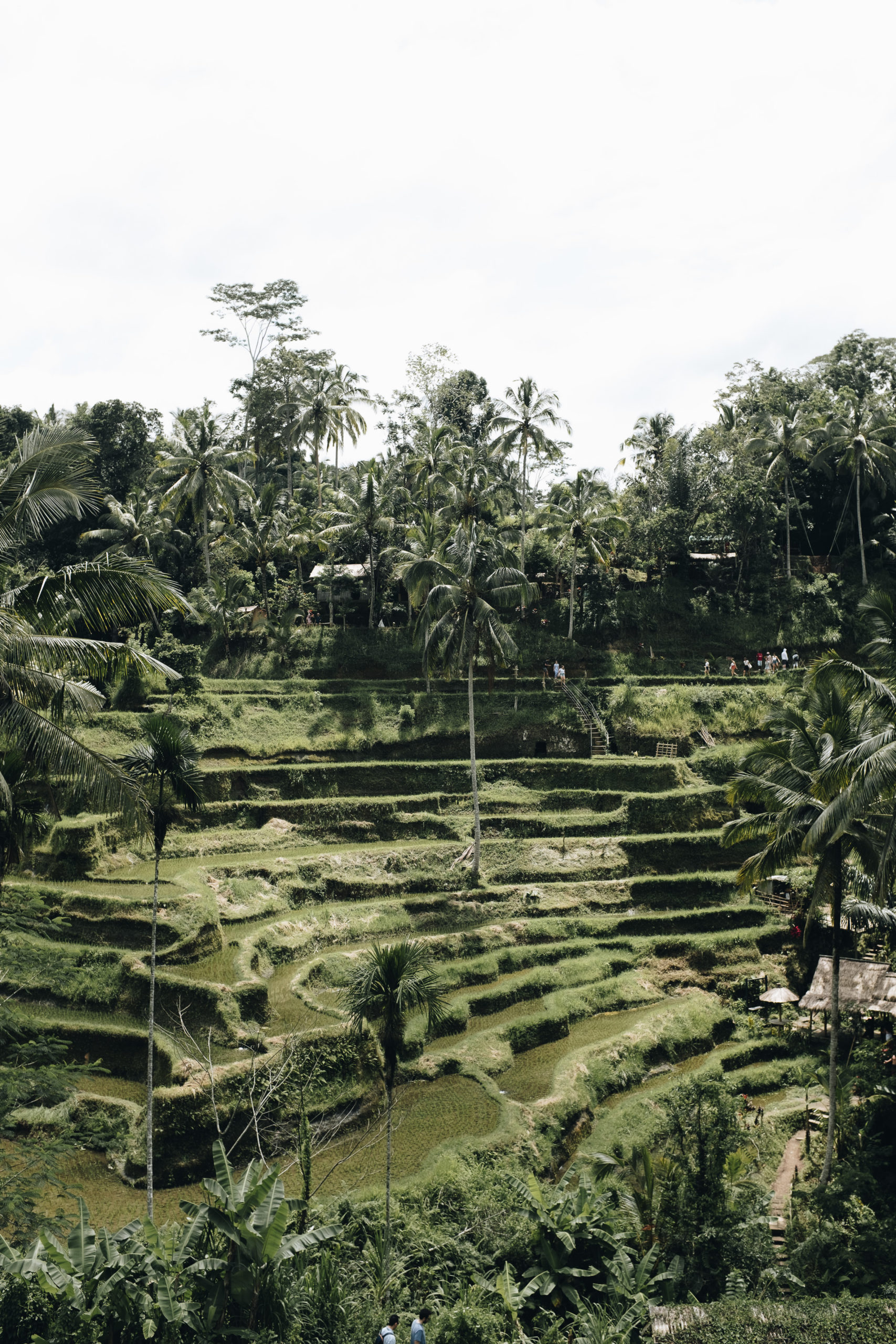 The ultimate guide to Bali 1