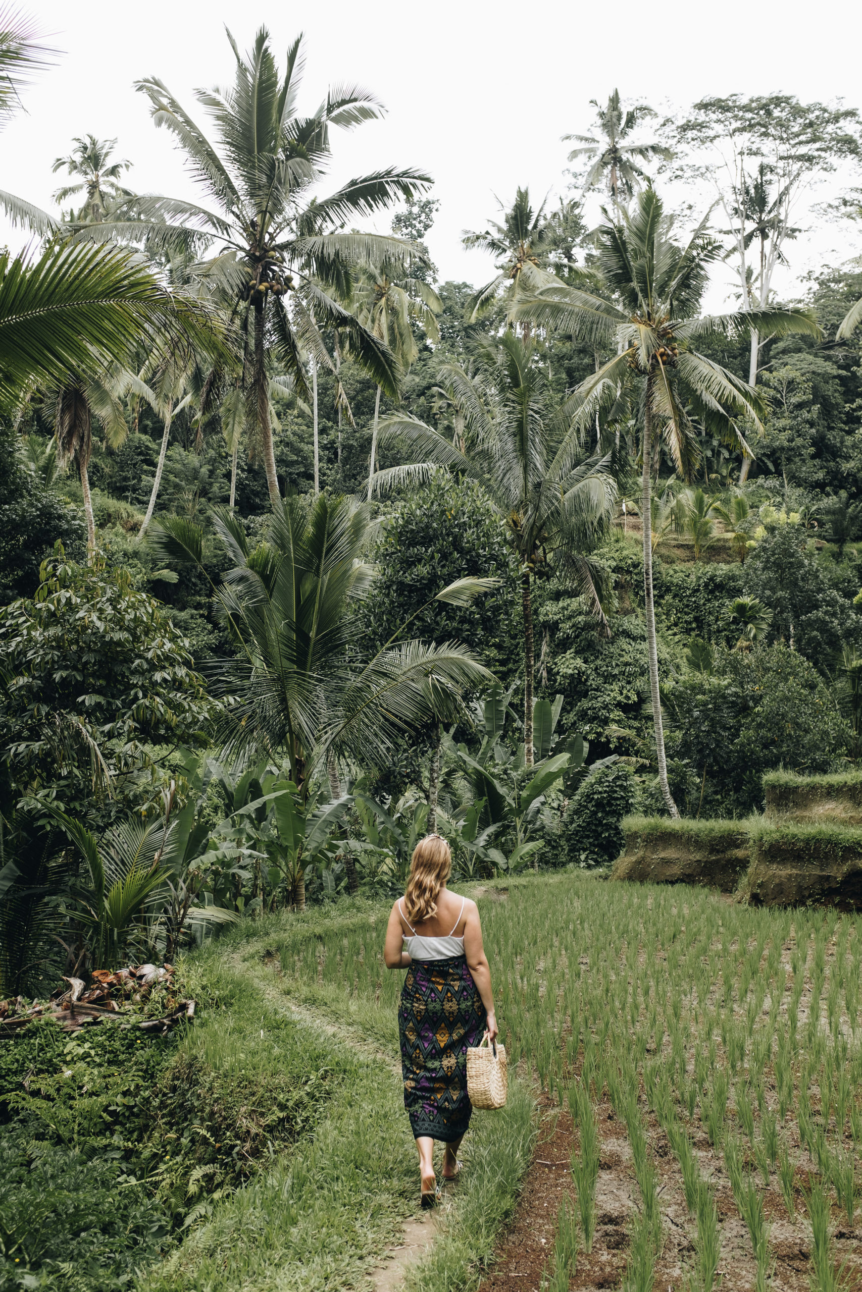 The ultimate guide to Bali 14