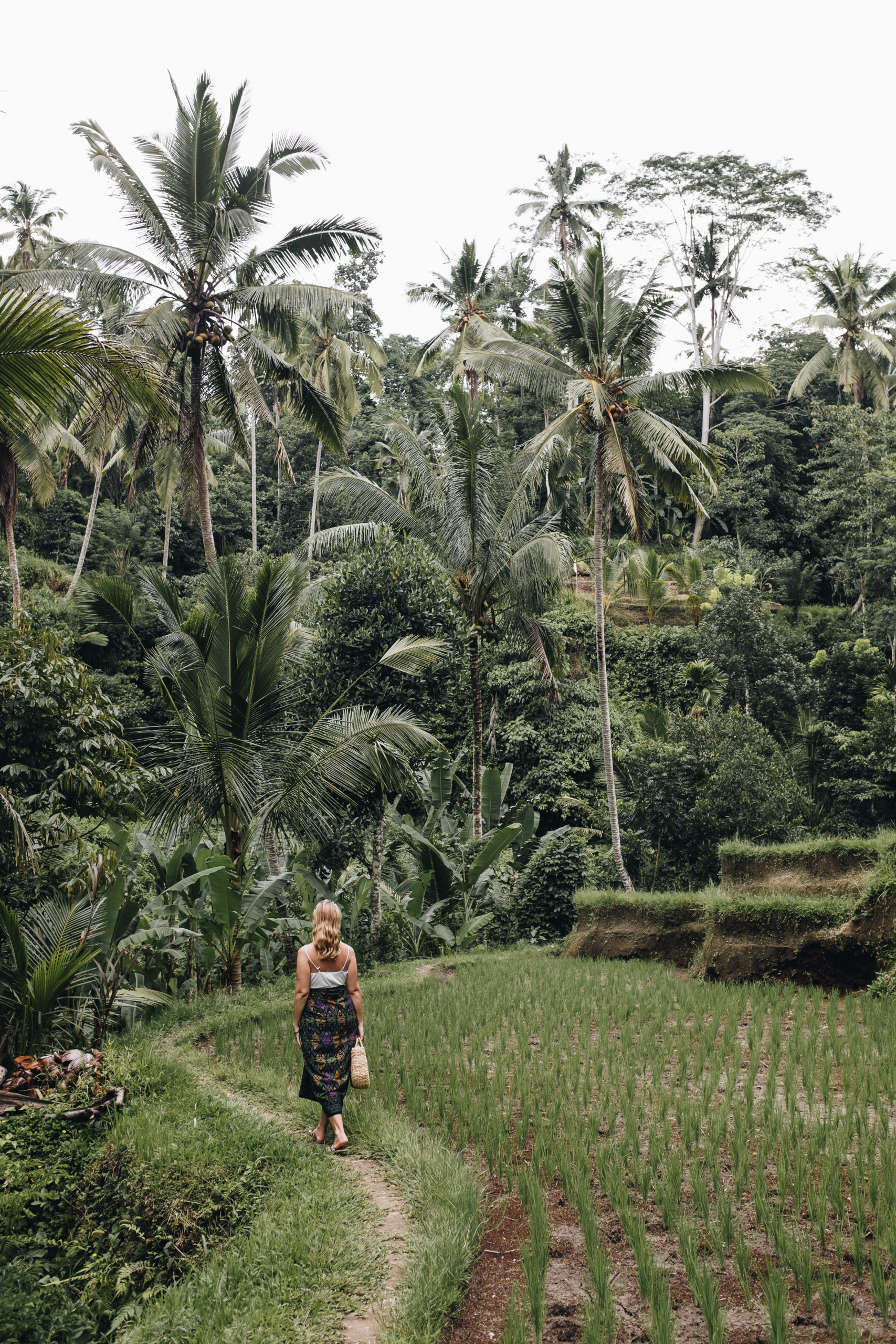The ultimate guide to Bali 18
