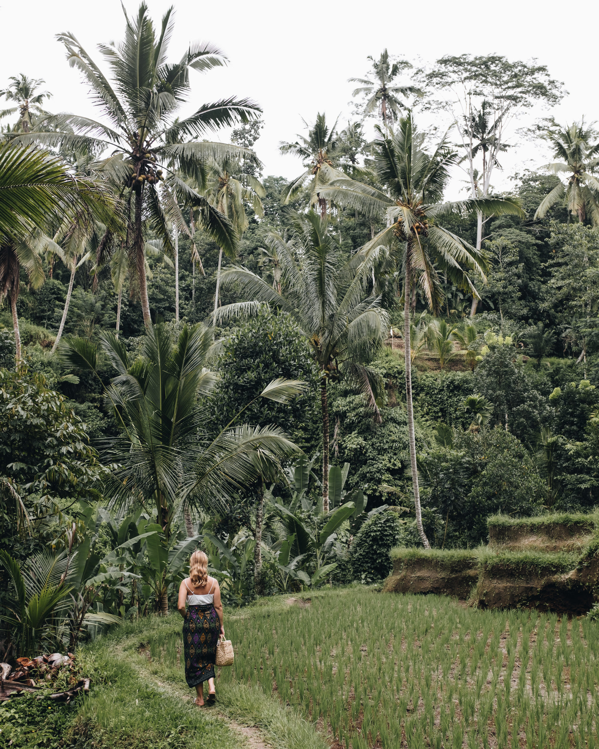 The ultimate guide to Bali 19