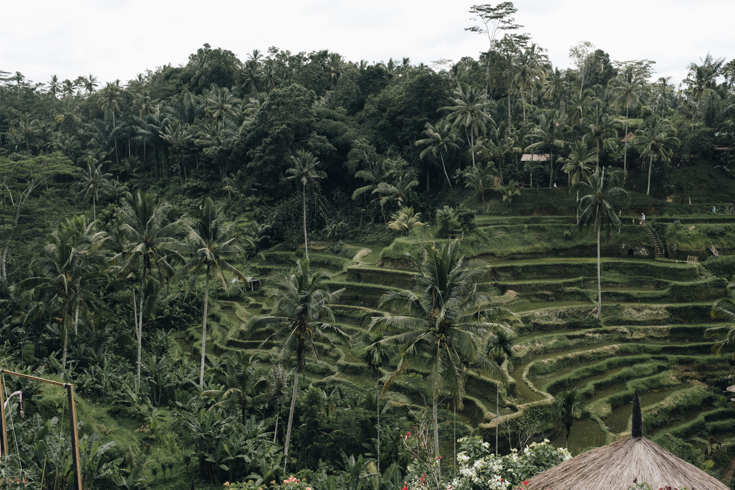 The ultimate guide to Bali 2