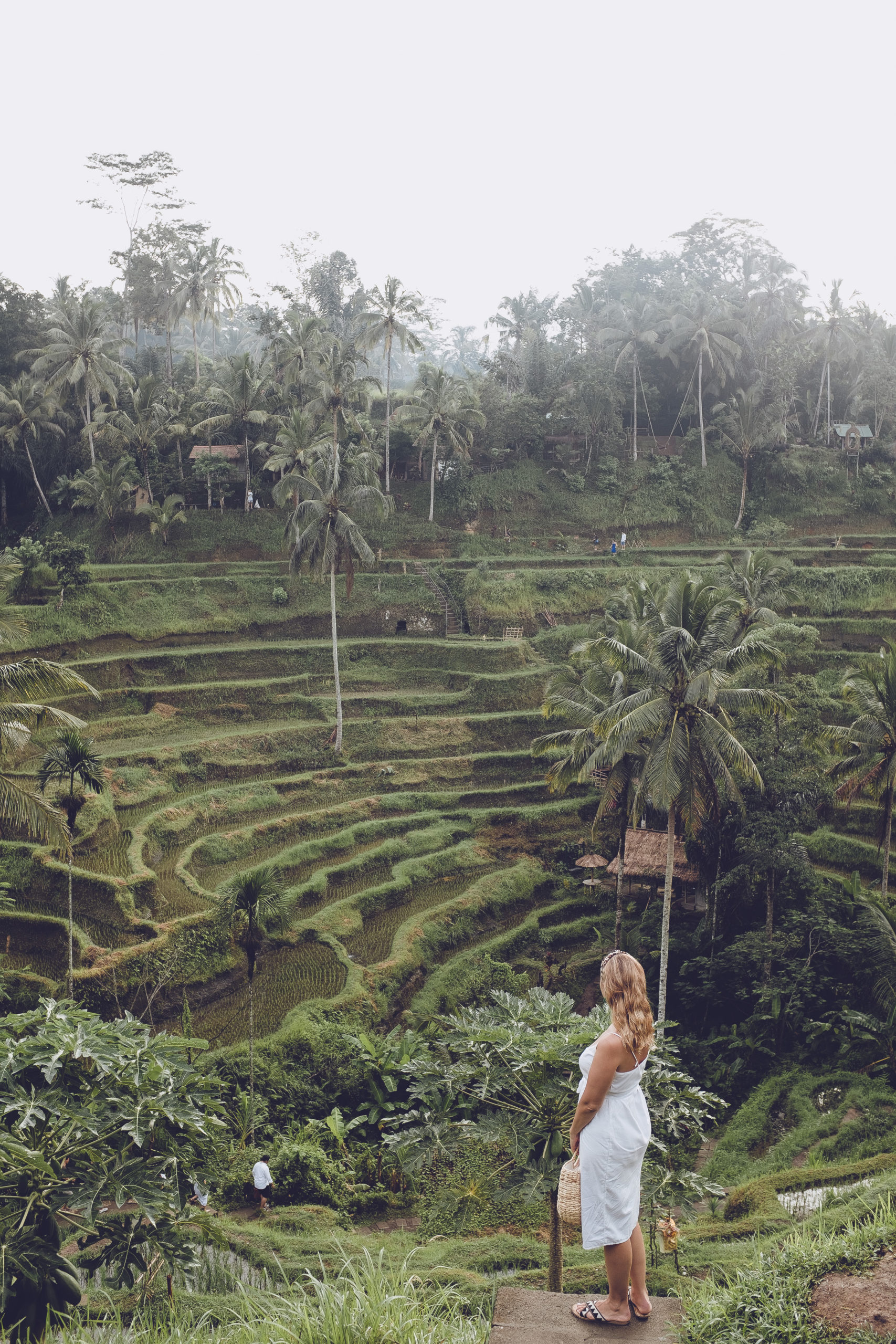 The ultimate guide to Bali 23
