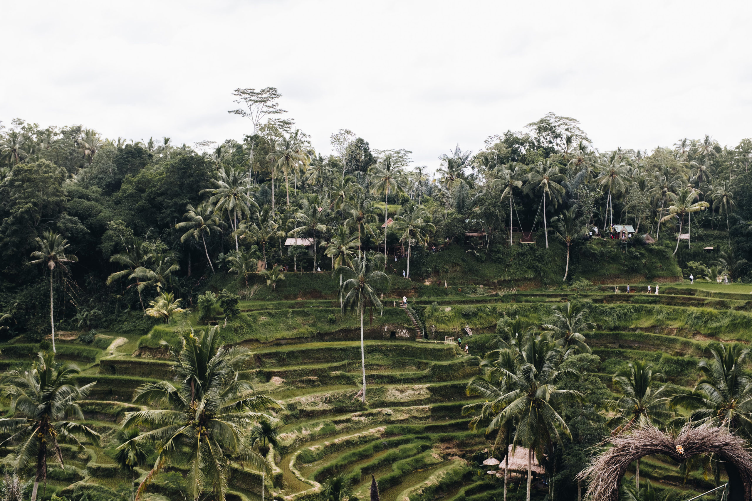 The ultimate guide to Bali 6