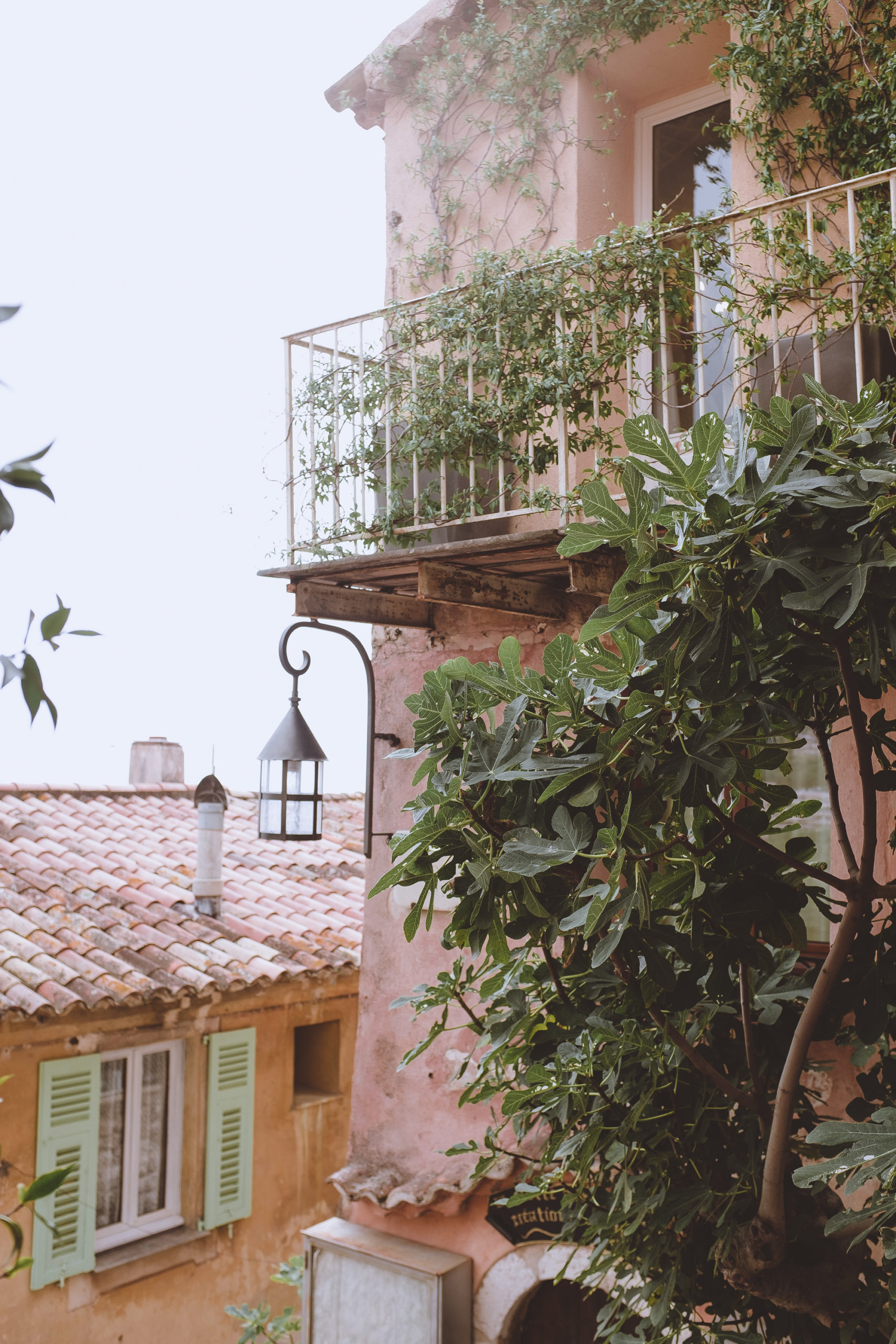 Eze Village France exotic garden