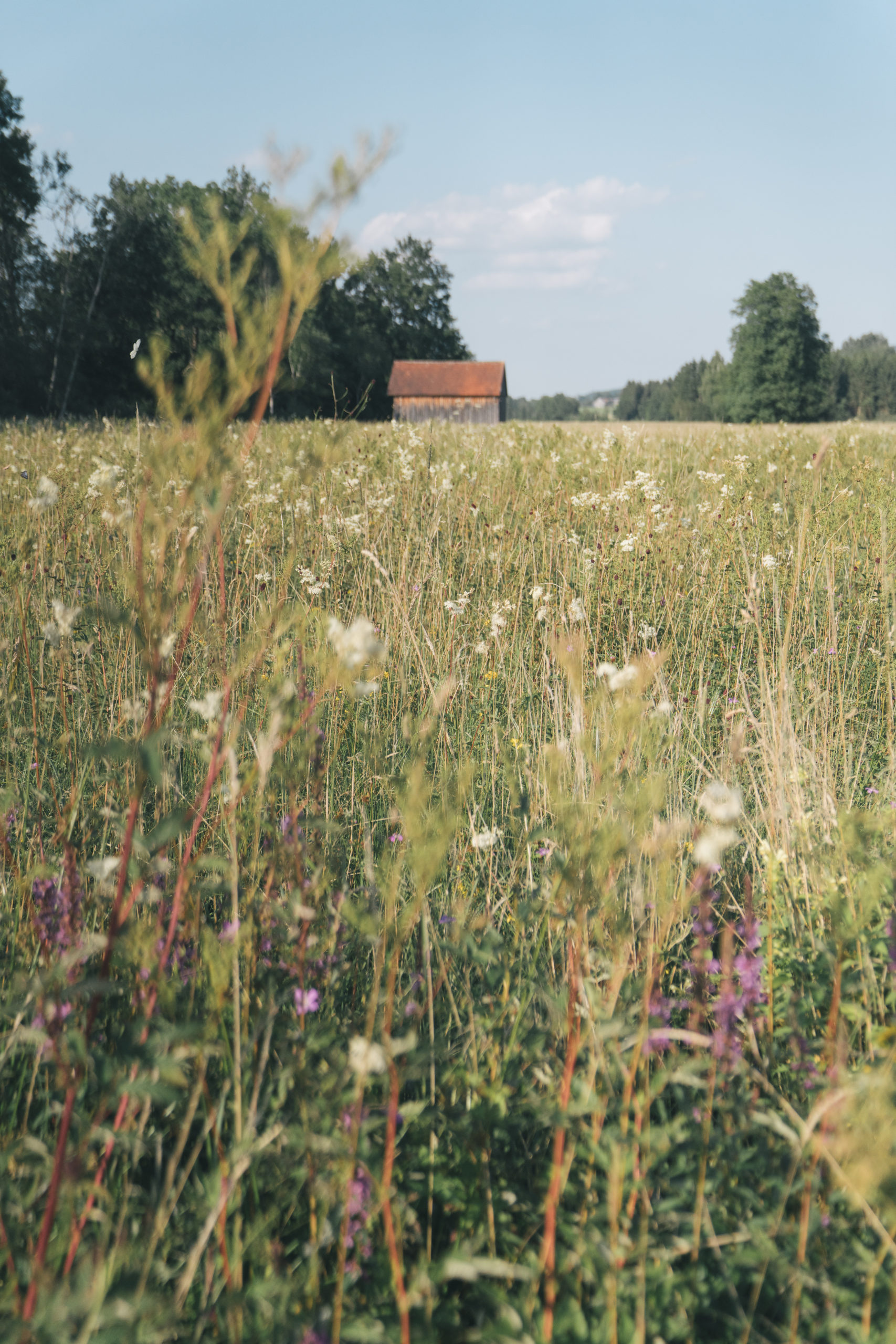 Visit Eugendorf