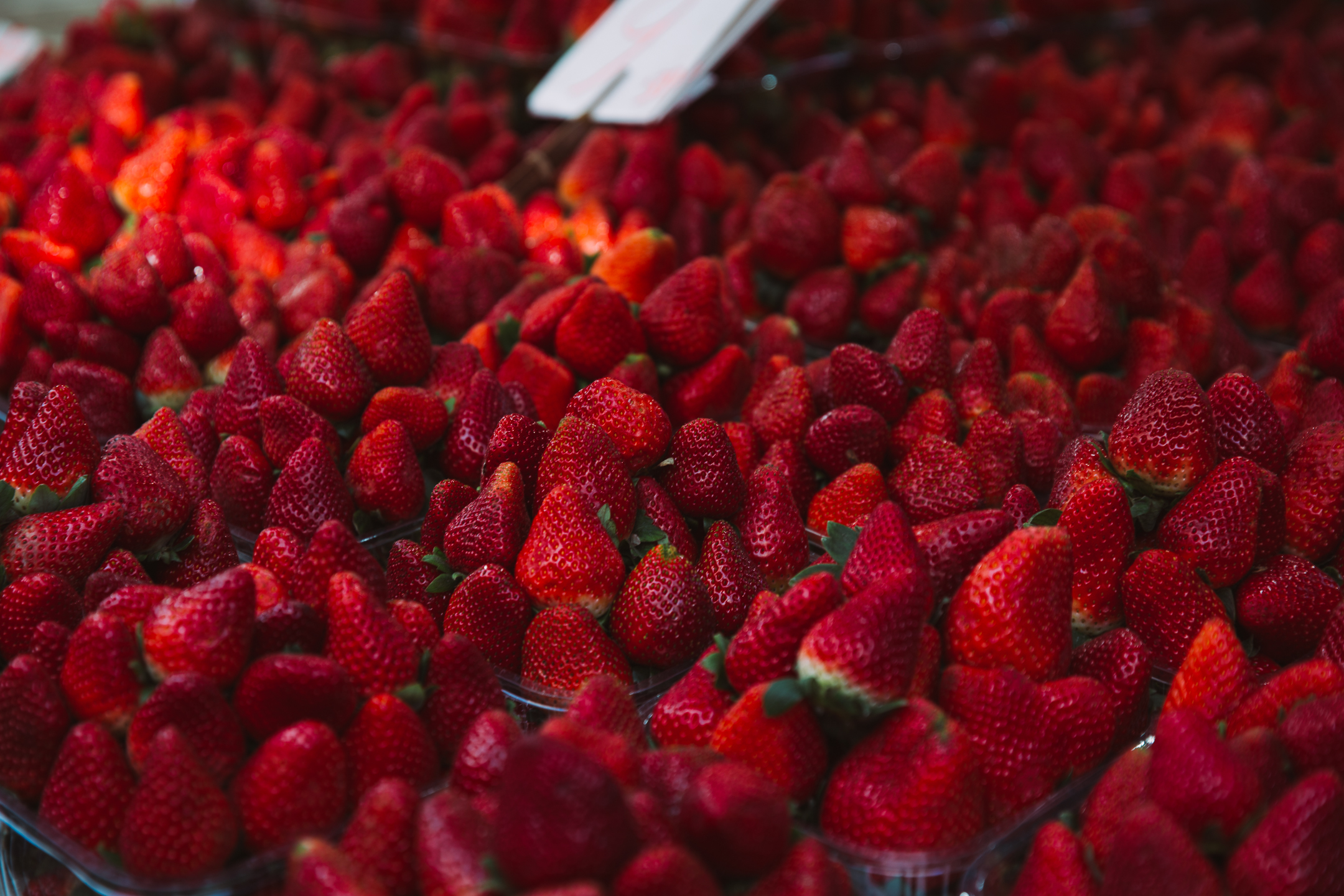 Tel Aviv Markets