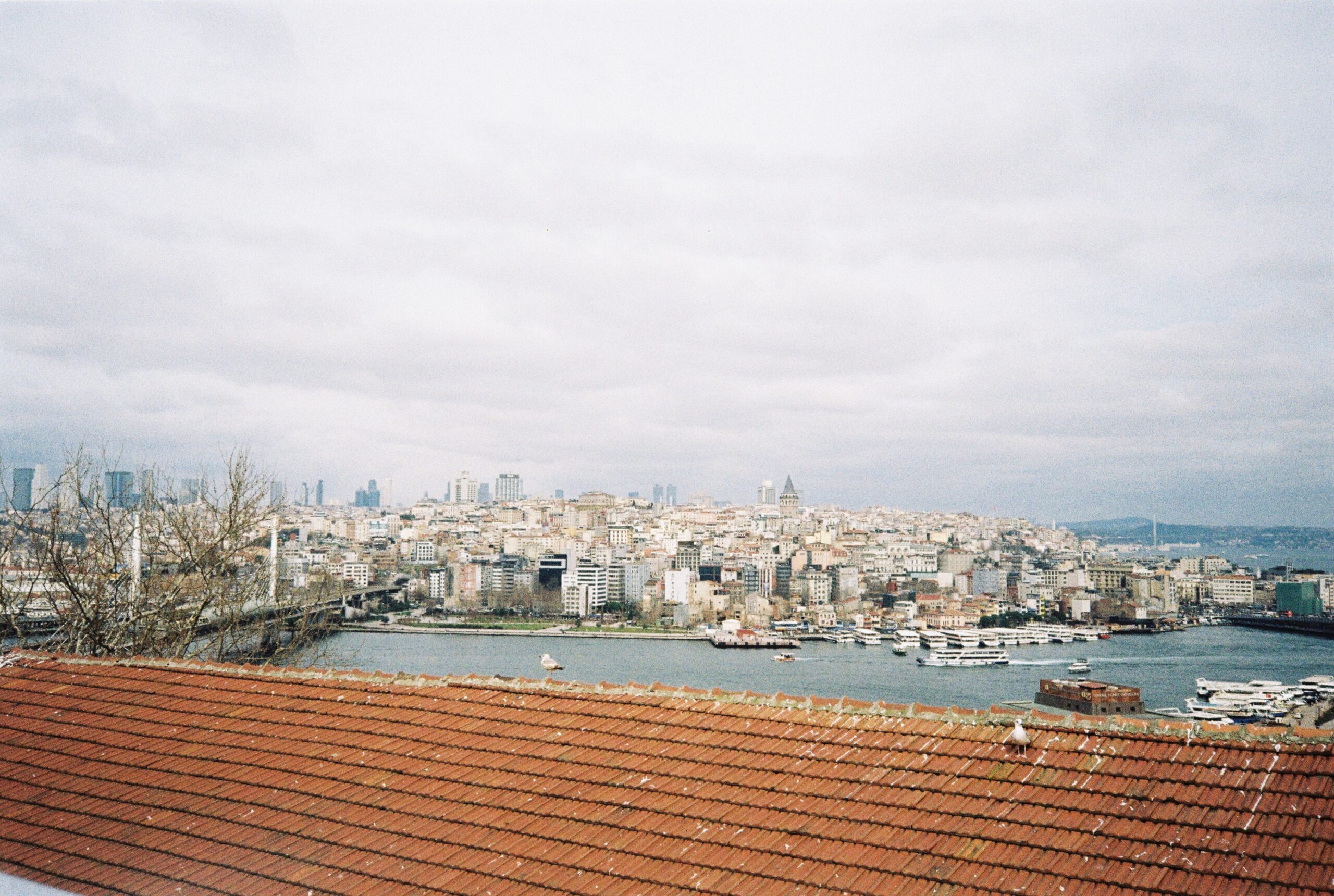 Istanbul skyline viewed from a rooftop terrace with me enjoying the scene Istanbul skyline viewed from a rooftop terrace