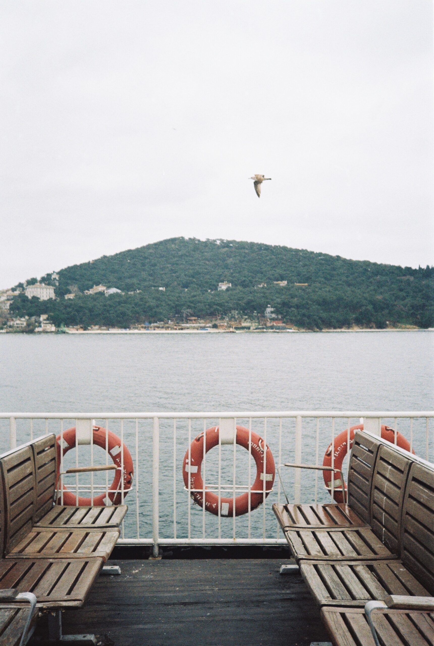 Ferry ride in Bosphorus Ferry ride in Bosphorus